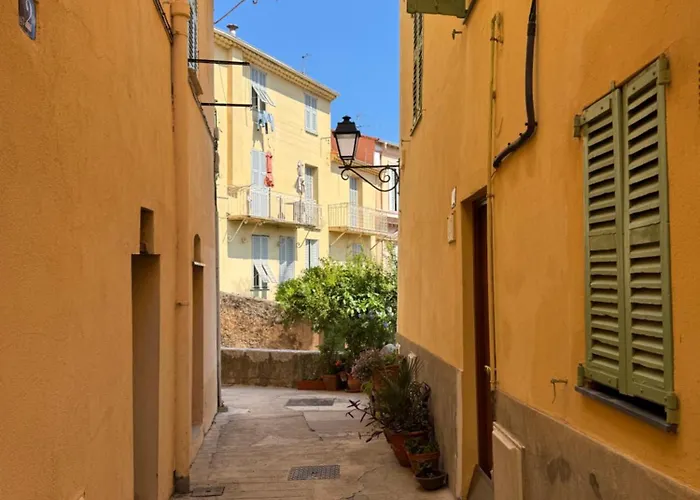 Palm Riviera Capucins - Vieille De - Vue *